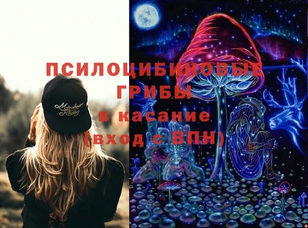 меф Арсеньев