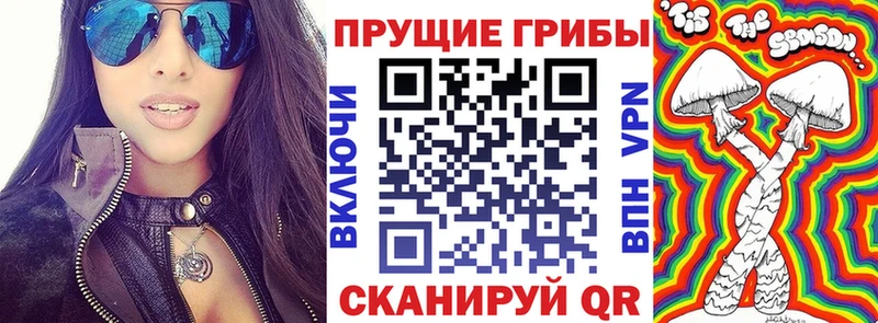 где купить наркотик  Морозовск  мега рабочий сайт  Галлюциногенные грибы мицелий 